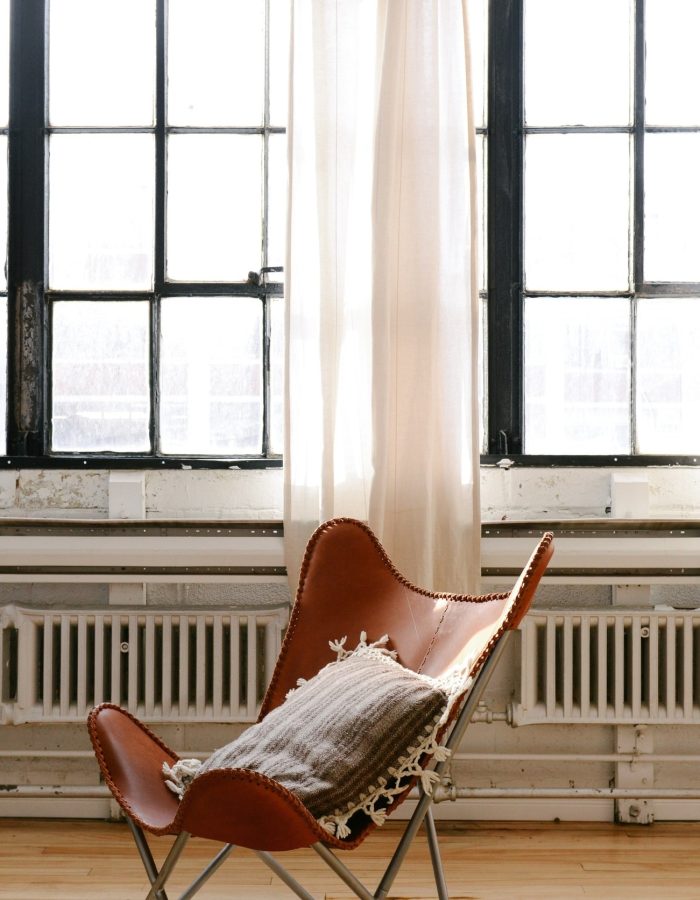 Leather-Clad Leisure Chair